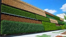 Vertical Farming: વર્ટિકલ ફાર્મિંગ માટે જગ્યાની નહીં દિમાગની હોય છે જરૂર, જાણો કેવી રીતે અને ક્યાં કરવી આ ખેતી Vertical Farming: વર્ટિકલ ફાર્મિંગ માટે જગ્યાની નહીં દિમાગની હોય છે જરૂર, જાણો કેવી રીતે અને ક્યાં કરવી આ ખેતી