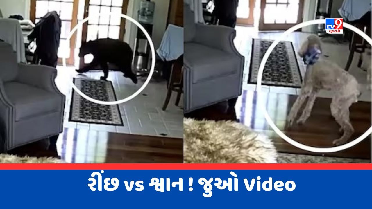 Viral Video : ઘરમાં ઘૂસી આવ્યો રીંછ, પાળતૂ શ્વાન એ બહાદુરીથી બચાવ્યો માલિકનો જીવ, જુઓ Video