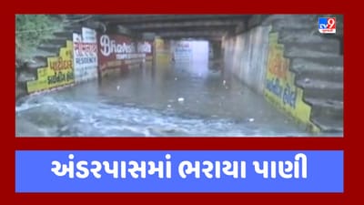 Gujarati Video : વલસાડ શહેર અને 40 ગામને જોડતા અંડરપાસમાં ભરાયા પાણી, લોકો જીવના જોખમે જવા મજબૂર