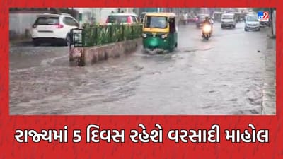 Monsoon 2023 Video : ગુજરાતમાં ભારે વરસાદનો બીજો રાઉન્ડ શરુ થશે, જાણો કયા કયા વિસ્તારોમાં ક્યારે પડશે વરસાદ
