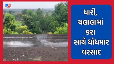 Gujarat Video: Amreli: ધારી અને ચલાલામાં કરા સાથે ધોધમાર વરસાદ, અસહ્ય ગરમી વચ્ચે લોકોને મળી ઠંડક