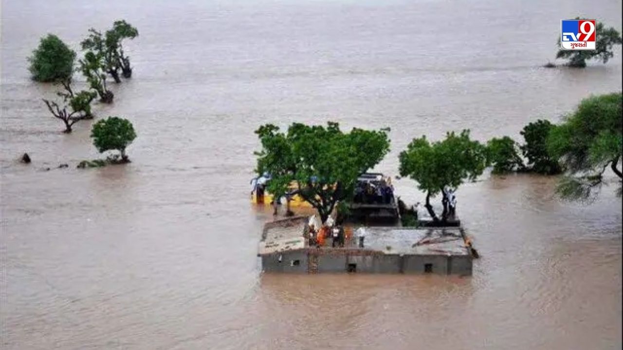 અમરેલી જિલ્લાની સૌથી મોટી શેત્રુંજી નદી અને સાતલ્લી નદીના પાણીએ ભારે વિનાશ સર્જ્યો હતો. 
