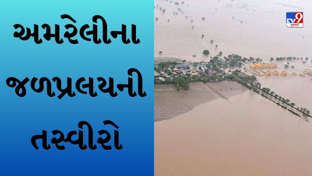 2015માં અમરેલીમાં થયો હતો જળપ્રલય સર્જી તારાજી અનેક લોકો પશુઓએ