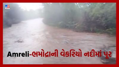 Gujarat Video: અમરેલીના સાવરકુંડલામાં મેઘરાજાની ધમાકેદાર બેટિંગ, ભમોદ્રાની વેકરિયા નદીમાં આવ્યું પૂર