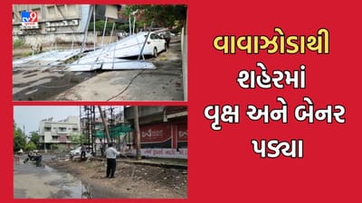 Gujarati Video: આણંદમાં વાવાઝોડાને કારણે ભાલેજ રોડ પર વૃક્ષો ધરાશાયી, અનેક બેનરો પવનમાં ઉડ્યા