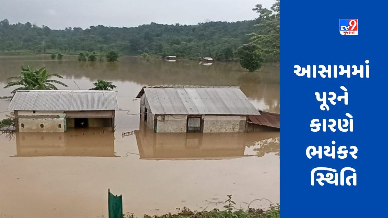 Assam Flood : ભારે વરસાદ-800 ગામો ડૂબી ગયા, ઉભો પાક બરબાદ, આસામમાં પૂરથી 1.2 લાખ લોકો પ્રભાવિત