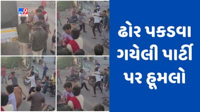 Surat : સરથાણામાં રખડતા ઢોર પકડવા ગયેલી ટીમ પર થયો હૂમલો, એક વ્યક્તિને આંખમાં ગંભીર ઇજા