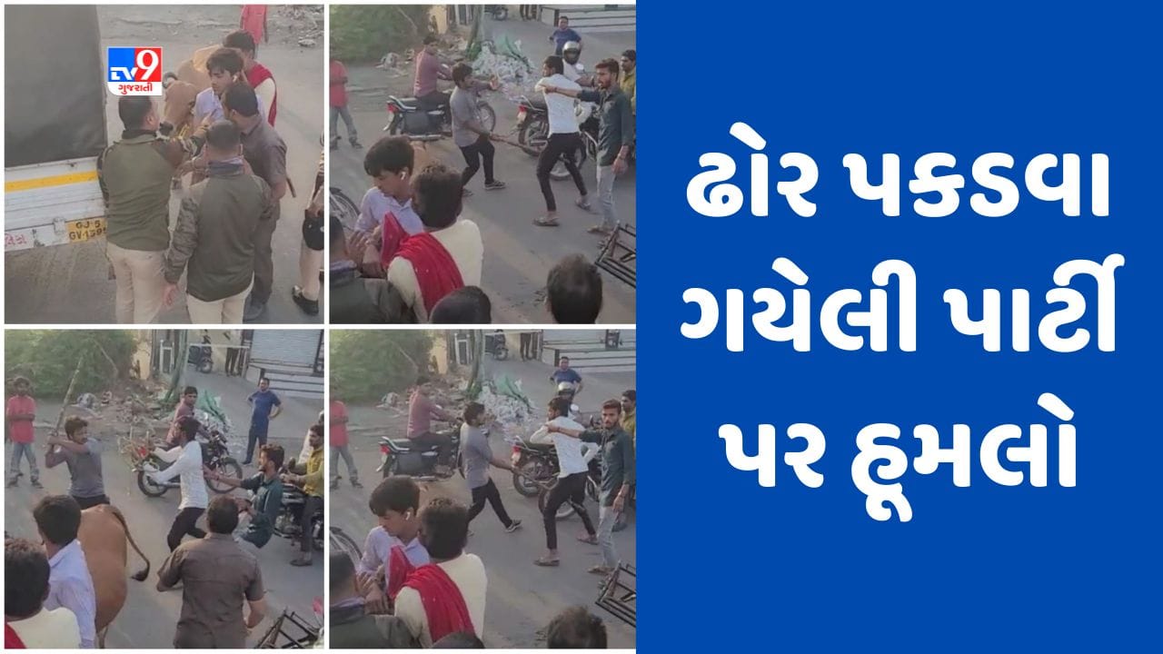 Surat : સરથાણામાં રખડતા ઢોર પકડવા ગયેલી ટીમ પર થયો હૂમલો, એક વ્યક્તિને આંખમાં ગંભીર ઇજા