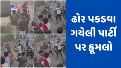 Surat : સરથાણામાં રખડતા ઢોર પકડવા ગયેલી ટીમ પર થયો હૂમલો, એક વ્યક્તિને આંખમાં ગંભીર ઇજા