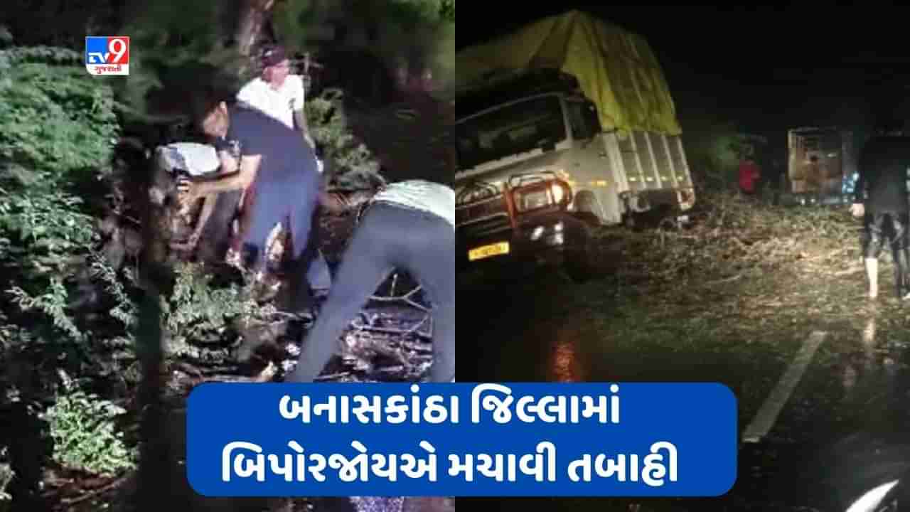 Cyclone Biporjoy: બનાસકાંઠા જિલ્લામાં બિપોરજોયએ રૂૌદ્ર રૂપ ધારણ કરી મચાવી તબાહી, આખી રાત ધોધમાર વરસાદ વરસ્યો, મોટા પ્રમાણમાં વૃક્ષો ધરાશાયી