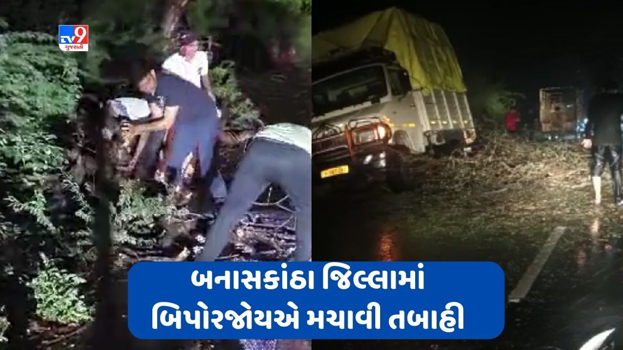 Cyclone Biporjoy: બનાસકાંઠા જિલ્લામાં 'બિપોરજોય'એ રૂૌદ્ર રૂપ ધારણ કરી મચાવી તબાહી, આખી રાત ધોધમાર વરસાદ વરસ્યો, મોટા પ્રમાણમાં વૃક્ષો ધરાશાયી