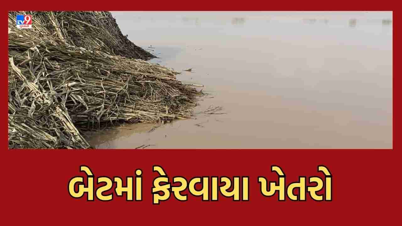 Banaskantha : રાજસ્થાનમાં ભારે વરસાદને પગલે બનાસકાંઠાના ખેતરોમાં ફરી વળ્યા પાણી, ખેડૂતોને ભારે નુકસાન