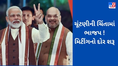 ચૂંટણીની ચિંતામાં ભાજપ ? તાબડતોબ મીટીંગોનો દોર શરૂ, હવે BJP શાસિત રાજ્યોના CM અને ડેપ્યુટી CMનો વારો