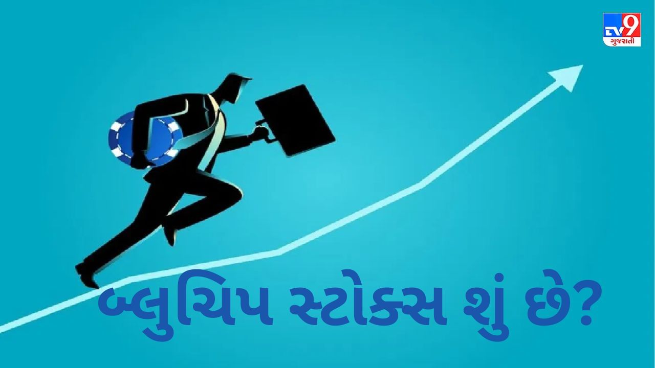 બ્લુચિપ સ્ટોક્સ શું છે ? તેમાં નાણાનું રોકાણ કરવાથી તમને કેવા પ્રકારના લાભ મળે છે