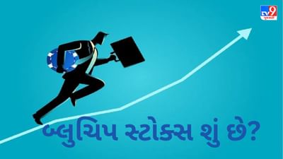 બ્લુચિપ સ્ટોક્સ શું છે ? તેમાં નાણાનું રોકાણ કરવાથી તમને કેવા પ્રકારના લાભ મળે છે