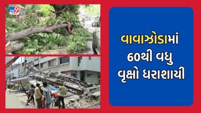 Gujarati Video: Vadodara- ભારે પવન ફુંકાતા 60 જેટલા વૃક્ષો અને 100થી વધુ હોર્ડિંગ્સ ધરાશાયી