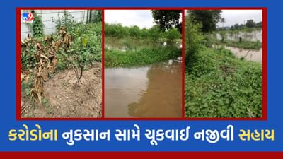 Gujarati Video : કરોડોના નુકસાન સામે કરચિયાના ખેડૂતોને ચૂકવાઈ નજીવી સહાય, 8 કરોડના નુકસાન સામે તંત્ર તરફથી માત્ર 2.36 કરોડ ચૂકવવાના આદેશ સામે નારાજગી Gujarati Video : કરોડોના નુકસાન સામે કરચિયાના ખેડૂતોને ચૂકવાઈ નજીવી સહાય, 8 કરોડના નુકસાન સામે તંત્ર તરફથી માત્ર 2.36 કરોડ ચૂકવવાના આદેશ સામે નારાજગી