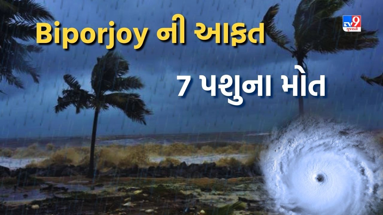 Breaking News : Cyclone Biporjoy થી કચ્છમાં વાવાઝોડાથી નુકશાનીનો આંકડો સામે આવ્યો,  7 પશુના મોત