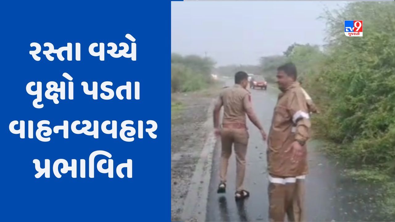 Cyclone Biparjoy: જામનગરમાં વાવાઝોડાને પગલે અનેક સ્થળે વૃક્ષો ધરાશાયી, કાલાવડ-ધોરાજી હાઇવે થયો બંધ