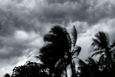 Cyclone Hits Brazil:ચક્રવાતે બ્રાઝિલમાં તબાહી મચાવી, અત્યાર સુધીમાં 11ના મોત, 20 ગુમ