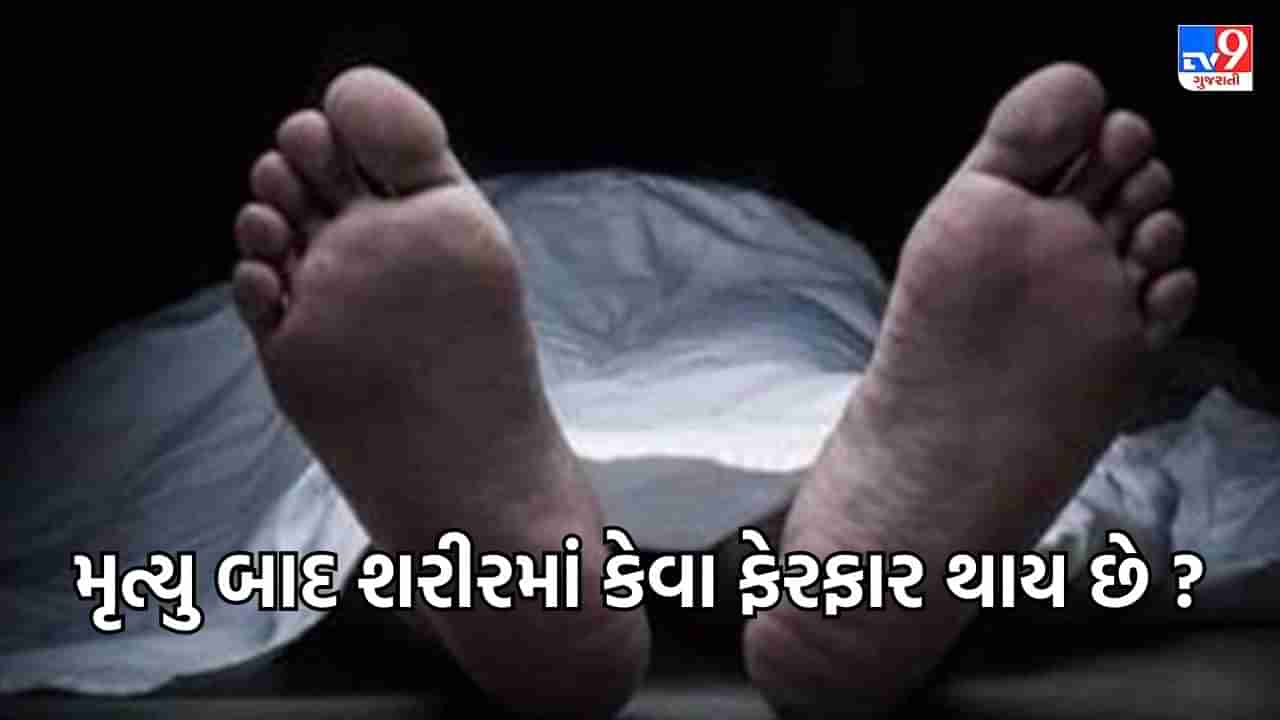 Interesting Facts : મૃત્યુ પછી શરીરમાં શું ફેરફારો થાય છે ? જાણો શરીર સાથે જોડાયેલા કેટલાક રોચક તથ્યો