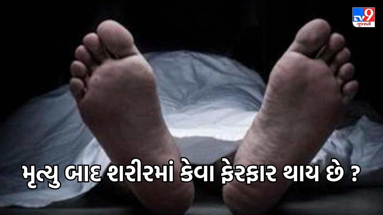 Interesting Facts : મૃત્યુ પછી શરીરમાં શું ફેરફારો થાય છે ? જાણો શરીર સાથે જોડાયેલા કેટલાક રોચક તથ્યો