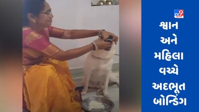Viral Video : શ્વાનને બાળકની જેમ લાડ લડાવી રહી છે મહિલા, જુઓ હૃદયસ્પર્શી Video