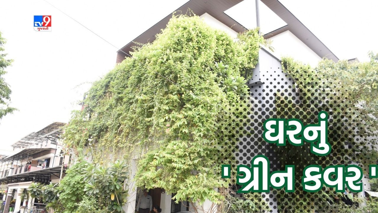 World Environment Day : સુરતના પર્યાવરણપ્રેમી ઉદ્યોગપતિએ બંગલાની 25 ફૂટ ઊંચી દીવાલને ફૂલ છોડથી ઢાંકી બનાવ્યું ‘ગ્રીન કવર’ જુઓ PHOTOS