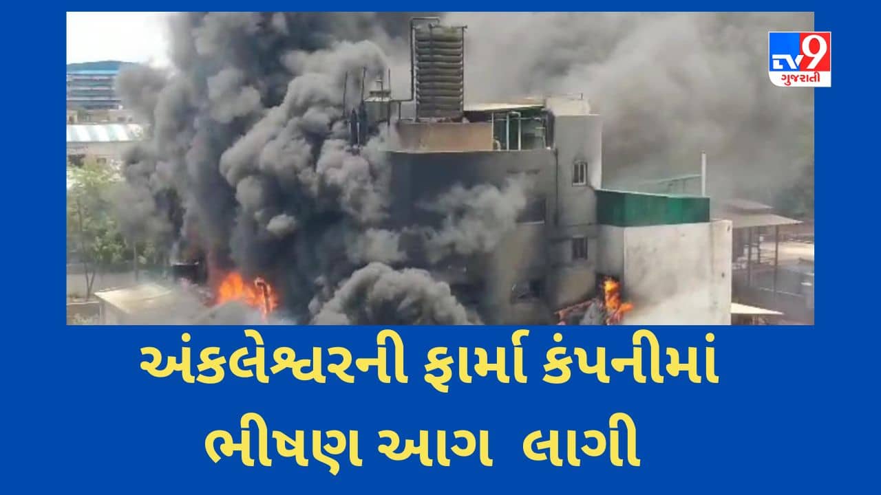 Breaking News : અંકલેશ્વર જીઆઇડીસીની ફાર્મા કંપનીમાં ભીષણ આગ લાગી, જુઓ આગના વિકરાળ સ્વરૂપના Video