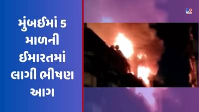 Breaking News મુંબઈમાં 5 માળની ઈમારતમાં લાગી ભીષણ આગ, ફાયરની 12 ગાડીઓ ઘટનાસ્થળે હાજર, જુઓ Video