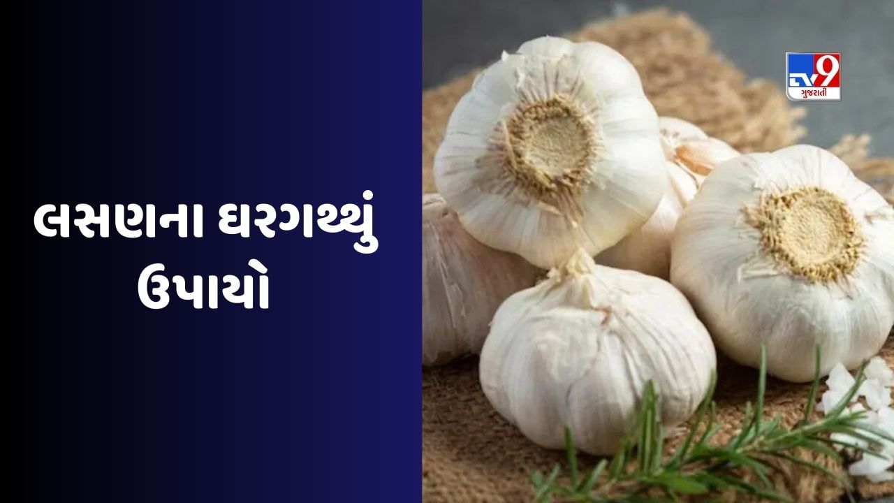 Digestive Health: કબજિયાત અને પેટના ફૂલવાથી મેળવો રાહત! રસોડાની આ વસ્તુ કામમાં આવશે