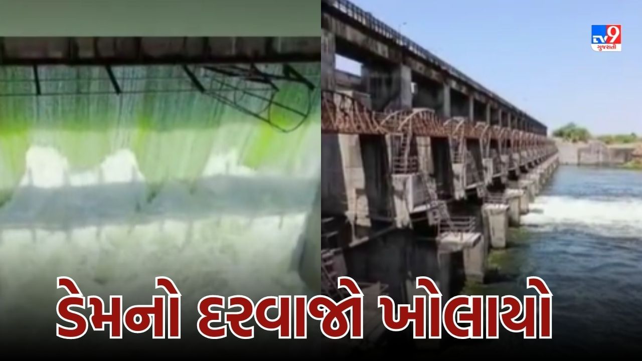 Morbi: મચ્છુ-3 ડેમનો એક દરવાજો ખોલાયો, નીચાણવાળા ગામડાને સતર્ક કરવામાં આવ્યા, જુઓ Video