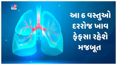 Healthy Lungs: ફેફસાને ડિટોક્સ કરવા માટે દરરોજ ખાવ આ 6 વસ્તુઓ, ફેફસા રહેશે મજબૂત