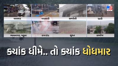 Gujarati Video: આગાહી વચ્ચે ગુજરાતમાં મેઘમહેર, દક્ષિણ ગુજરાત-સૌરાષ્ટ્રમાં મેઘાની જમાવટ Gujarati Video: આગાહી વચ્ચે ગુજરાતમાં મેઘમહેર, દક્ષિણ ગુજરાત-સૌરાષ્ટ્રમાં મેઘાની જમાવટ