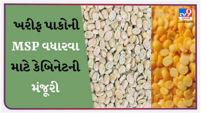 Breaking News : અડદ, તુવેર સહિતના ખરીફ પાકોની MSP વધારવા માટે કેબિનેટની મંજૂરી