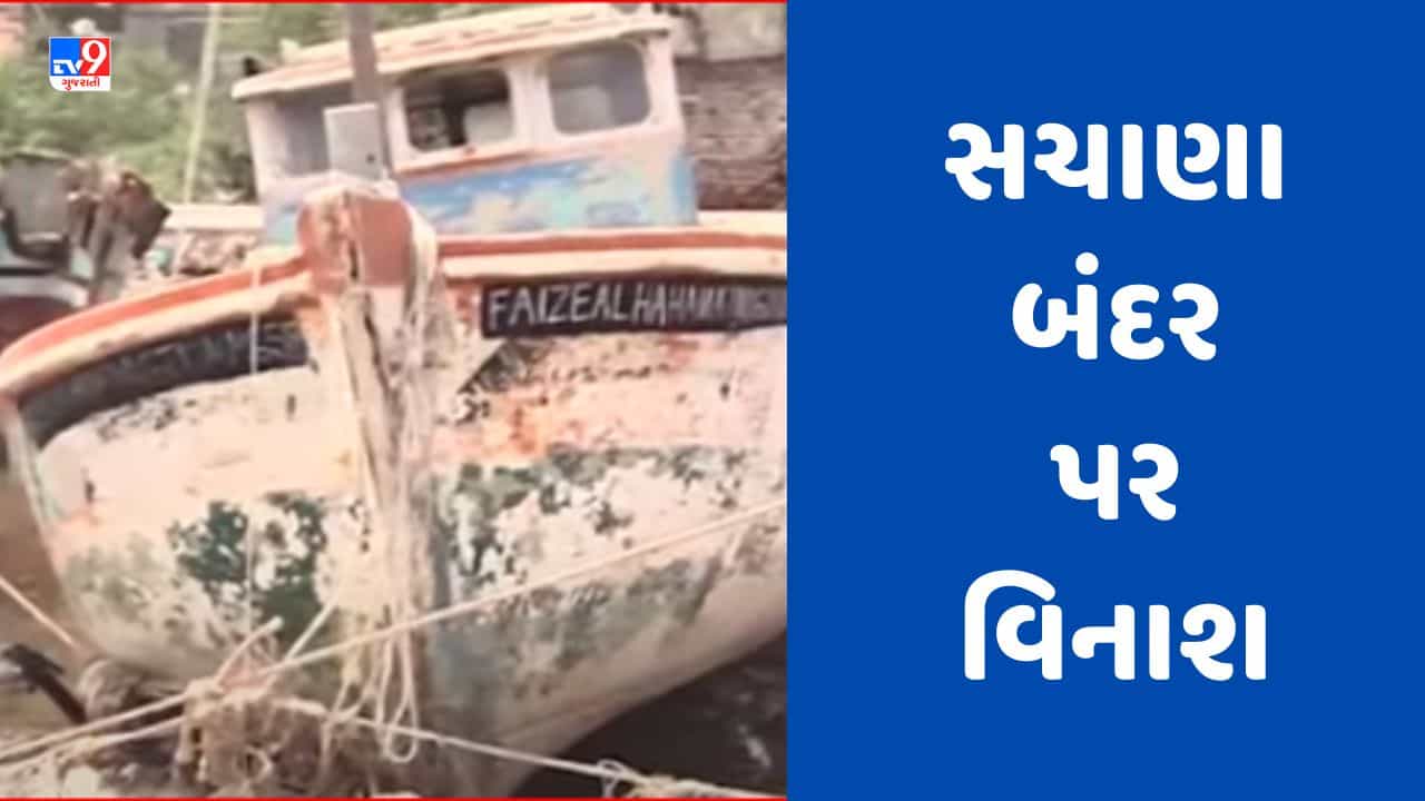 Gujarati Video: જામનગરના સચાણા બંદર પર વિનાશ, 60 જેટલી બોટને નુકસાન