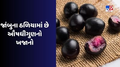 Jamun Seed Powder: હવે જાંબુ ખાઇ ઠળિયા ફેંકવાની ભૂલ ના કરતા, જાણો તેના ચોંકાવનારા ફાયદા