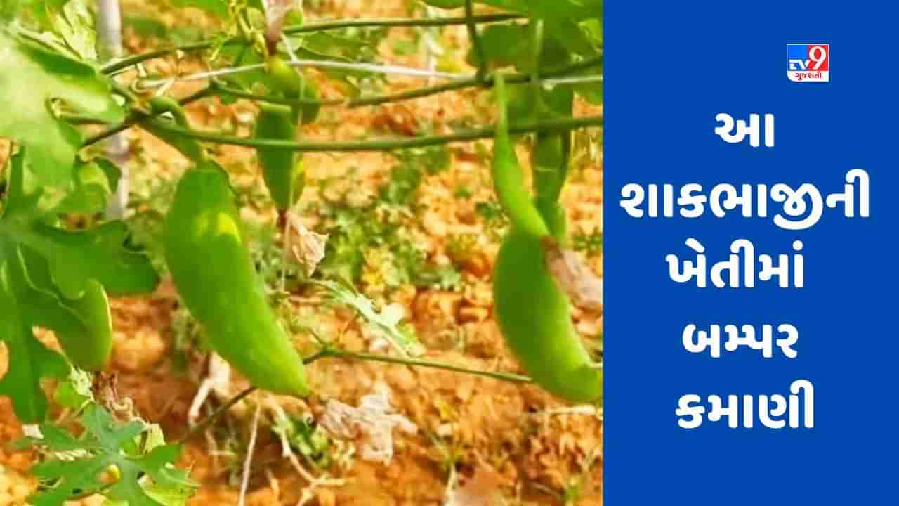 આ શાકભાજીની ખેતીમાં છે બમ્પર કમાણી, એકવાર ખેતી શરૂ કરો અને 4 વર્ષ સુધી નફો મેળવતા રહો