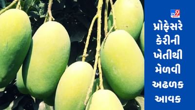 Success Story : કેરીની ખેતીથી પ્રોફેસર બન્યા અમીર, આ રીતે લાખોમાં કમાણી