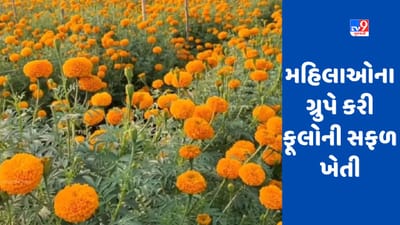 મહિલાઓનું ગ્રુપ કરી રહ્યુ છે ફૂલોની સફળ ખેતી, થોડાક જ મહિનામાં થઈ અઢળક આવક