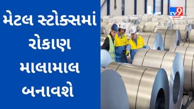 Stock Tips : આ મેટલ સ્ટોક્સમાં રોકાણ 1 વર્ષમાં માલામાલ બનાવી શકે છે, જાણો બ્રોકરેજનું અનુમાન