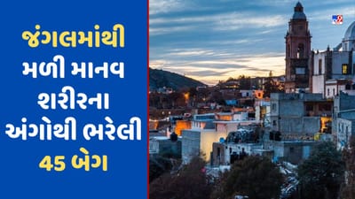 7 ગુમ લોકોની તપાસ કરી રહી હતી પોલીસ, જંગલમાંથી મળી માનવ શરીરના અંગોથી ભરેલી 45 બેગ!