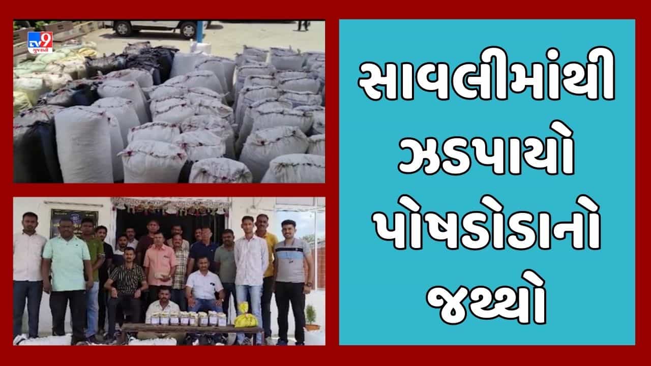 Vadodara: SOGએ કરી મોટી કાર્યવાહી, સાવલીમાંથી રુપિયા 68 લાખની કિંમતનો પોષડોડાનો જથ્થો ઝડપાયો, જુઓ Video