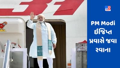 PM Modi Egypt visit : પીએમ મોદીનો અમેરિકા પ્રવાસ પૂર્ણ, ઇજિપ્તની પ્રથમવાર મુલાકાતે જવા રવાના