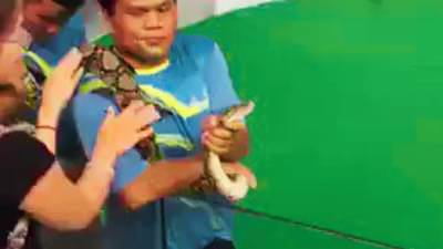 Viral Video : દીદી કરી રહી હતી અજગરને કિસ, પછી શું થયું તે જોઈને તમે ચોંકી જશો