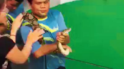 Viral Video : 'દીદી' કરી રહી હતી અજગરને કિસ, પછી શું થયું તે જોઈને તમે ચોંકી જશો