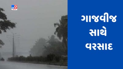 Rain Breaking : સાબરકાંઠા પંથકમાં ગાજવીજ સાથે વરસાદ વરસતા વીજપુરવઠો ખોરવાયો, જુઓ Video
