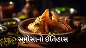 Samosa History: ભારતમાં સમોસા ક્યાંથી આવ્યા? જાણો શું છે આ સ્વાદિષ્ટ વાનગીનો ઈતિહાસ? Samosa History: ભારતમાં સમોસા ક્યાંથી આવ્યા? જાણો શું છે આ સ્વાદિષ્ટ વાનગીનો ઈતિહાસ?