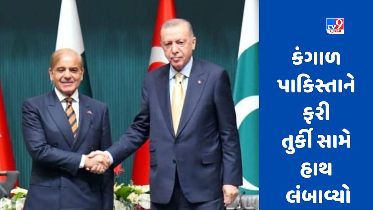 Erdogan Swearing-in-Ceremony: શપથ ગ્રહણના બહાને પાકિસ્તાને તુર્કી સામે હાથ લંબાવ્યો Erdogan Swearing-in-Ceremony: શપથ ગ્રહણના બહાને પાકિસ્તાને તુર્કી સામે હાથ લંબાવ્યો