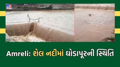 Cyclone Biporjoy: અમરેલીની દરિયાઈ પટ્ટી પર વાવાઝોડાની અસર, ભારે વરસાદને પગલે નાગધ્રા ગામની શેલ નદીમાં આવ્યુ ઘોડાપૂર